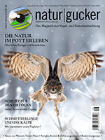 Naturgucker Ausgabe 16